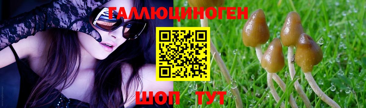 Галлюциногенные грибы GOLDEN TEACHER Воскресенск